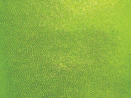 6 x 6 Fashion Fabric Swatch - Stretch Mystique 4-Way - Lime Fashion