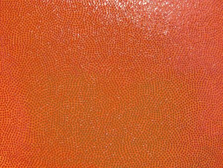 6 x 6 Fashion Fabric Swatch - Stretch Mystique 4-Way - Orange Online