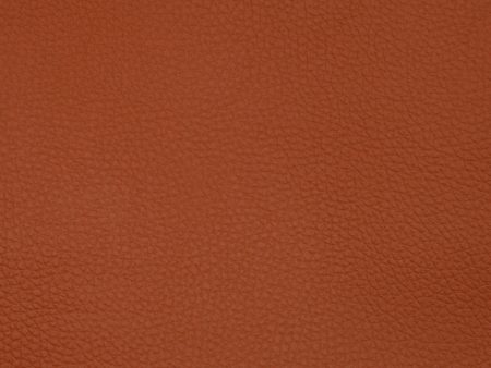 9 x 9 inch Home Decor Fabric Swatch - Home Decor Fabric - Leather look - Chesterfield - Cognac on Sale