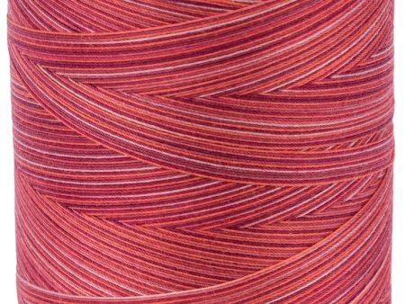 MULTICOLOUR-MACHINE QUILTING THREAD 1097M BOWL OF CHERRIES For Sale