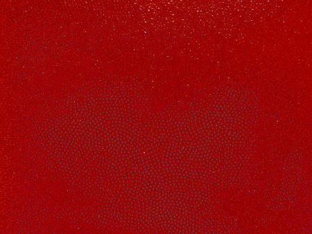 6 x 6 Fashion Fabric Swatch - Stretch Mystique 4-Way - Red Supply