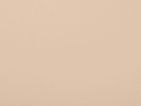 9 x 9 inch Fabric Swatch - Home Decor Fabric - Utility - Premium Leather Look Sand Online now