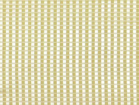 9 x 9 inch Home Decor Fabric Swatch - Home Decor Fabric - Stapleton - Celeste check - Gold Sale