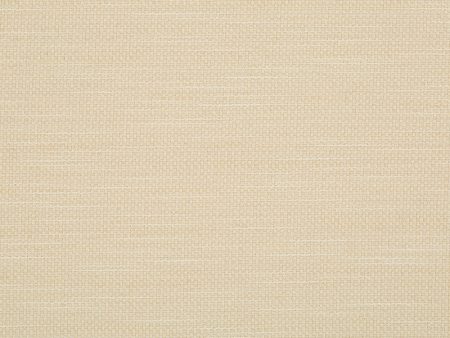 9 x 9 inch Home Decor Fabric Swatch - Home Decor Fabric - Robert Allen Crypton - Primotex bk Ivory on Sale