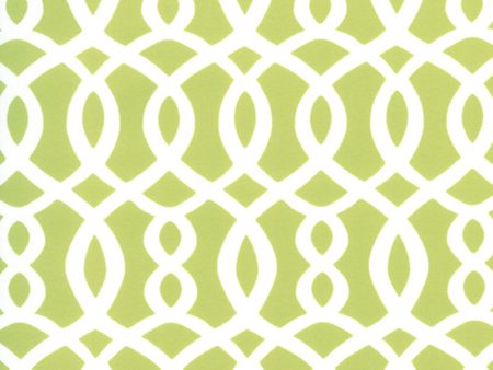 12 x 12 inch Swatch - Home Decor Fabric - Signature Maddy 1042 - green, white Cheap