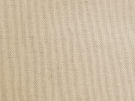 Home Décor Fabric Solid Canvas Taupe Online Sale